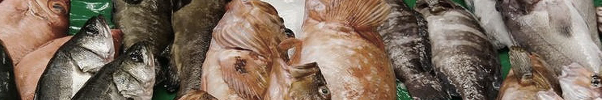 中国・ベトナム・ロシア・韓国向け輸出水産食品登録魚種